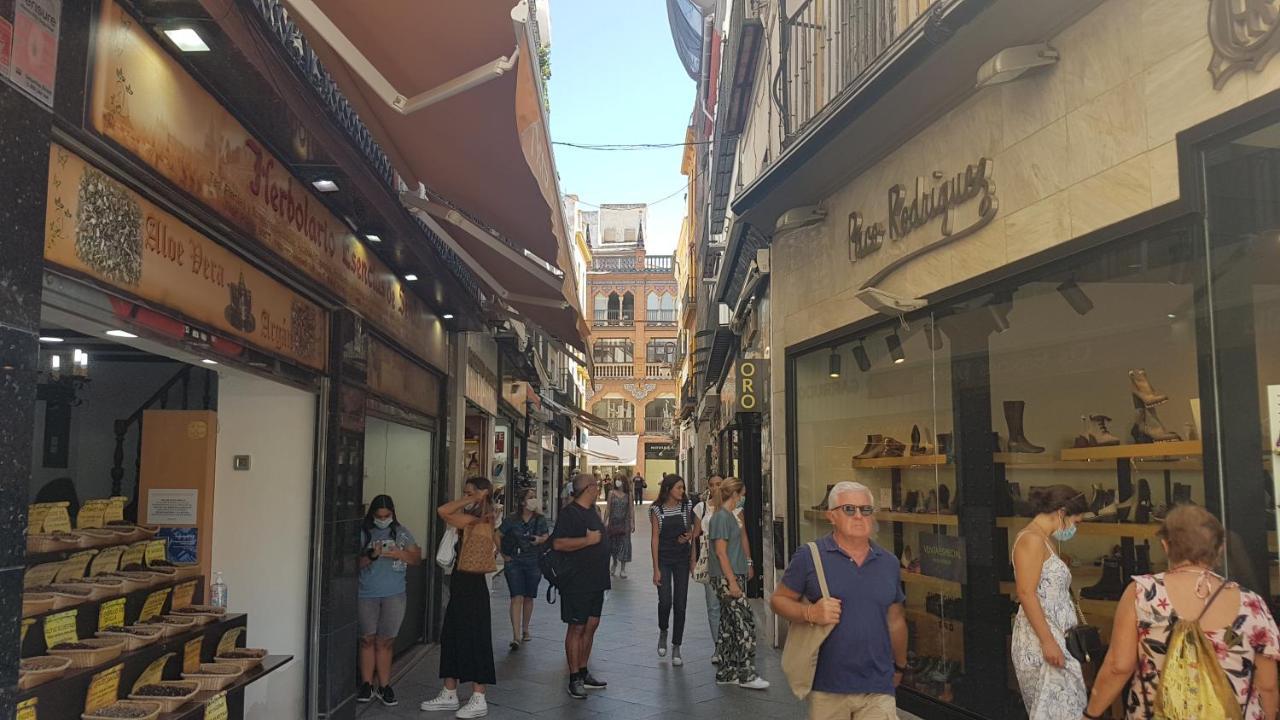 Apartamento Magnífico Apto 2 Dorm 2 Baños En El Corazón De Aa Wifi Sevilla