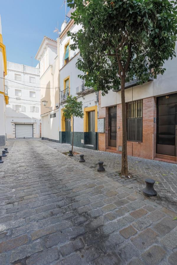Apartment San Diego Catedral *