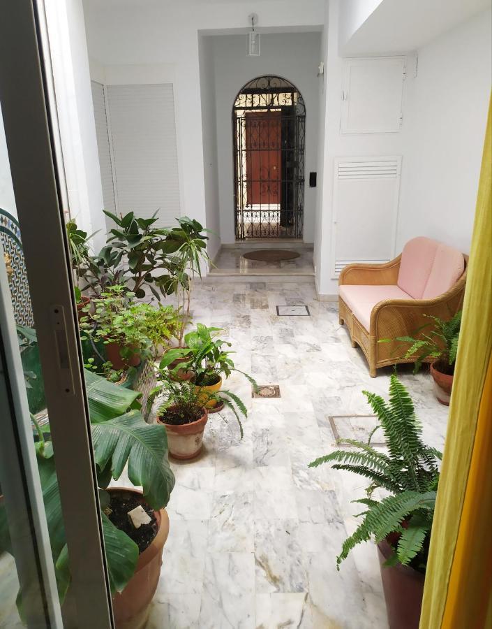 Apartment Rentalsevilla Rentalsevilla Moderno Apartamento En El Centro Con Patio