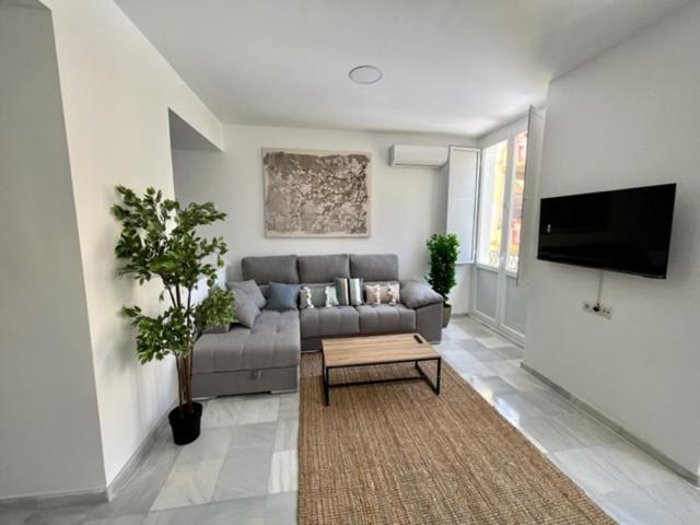 Ad1b Arenal 3br Apartment, 250 Mtrs From Cathedral Seville