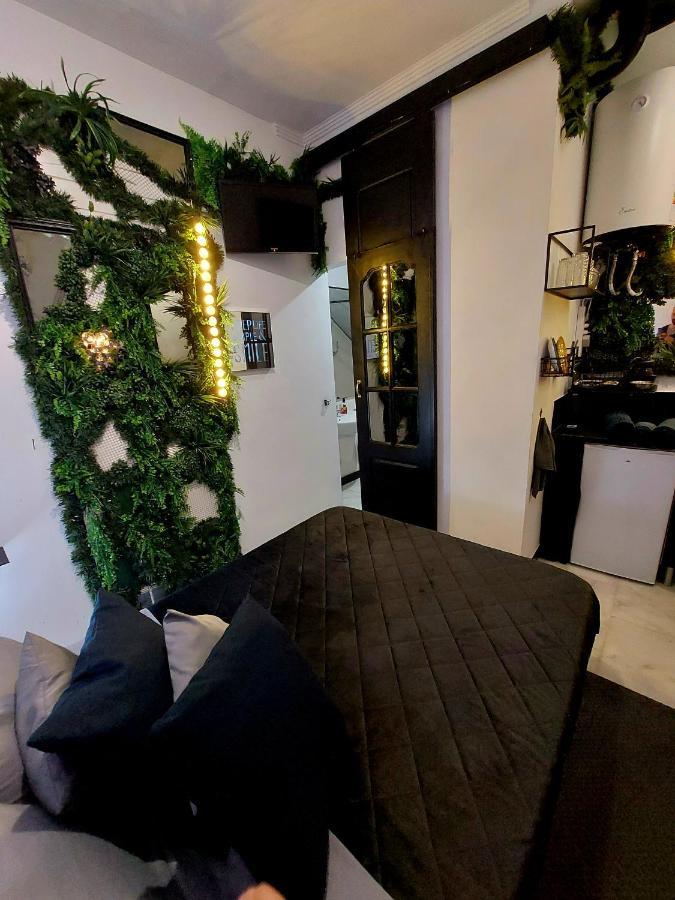 Apartamento Mini Estudio Alamedad De Hercules Sevilla
