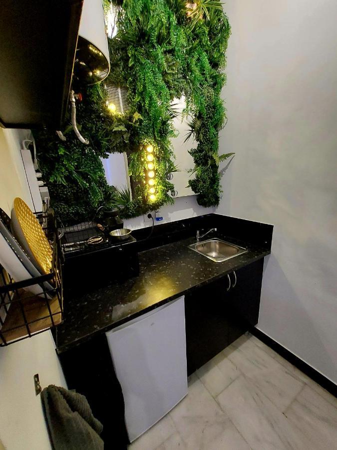 Apartamento Mini Estudio Alamedad De Hercules
