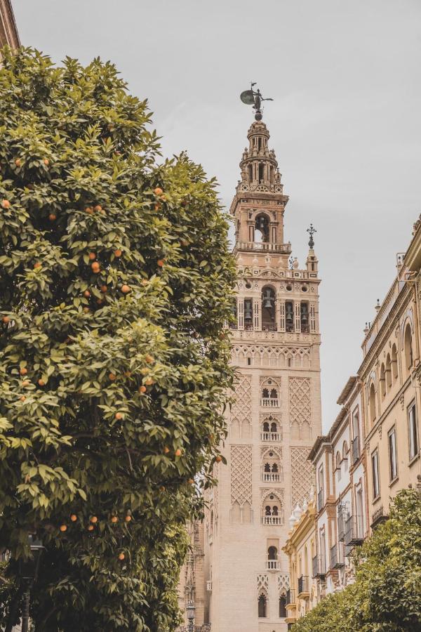 Jardin De Santa Paula * Sevilla