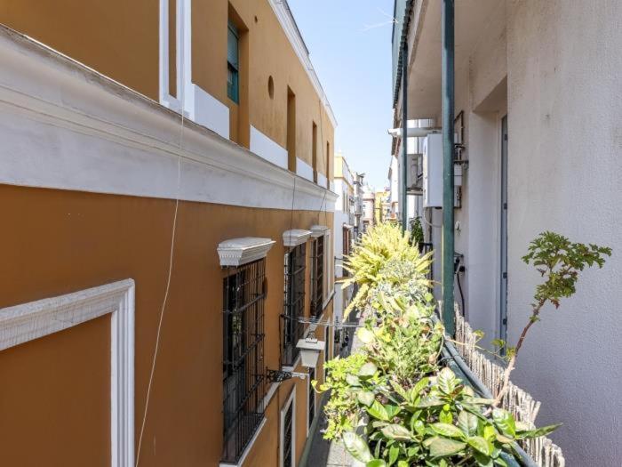 Apartamento San Vicente -oasis De Paz En El Corazón De 3 Hab - 2 Baños Wifi Ac