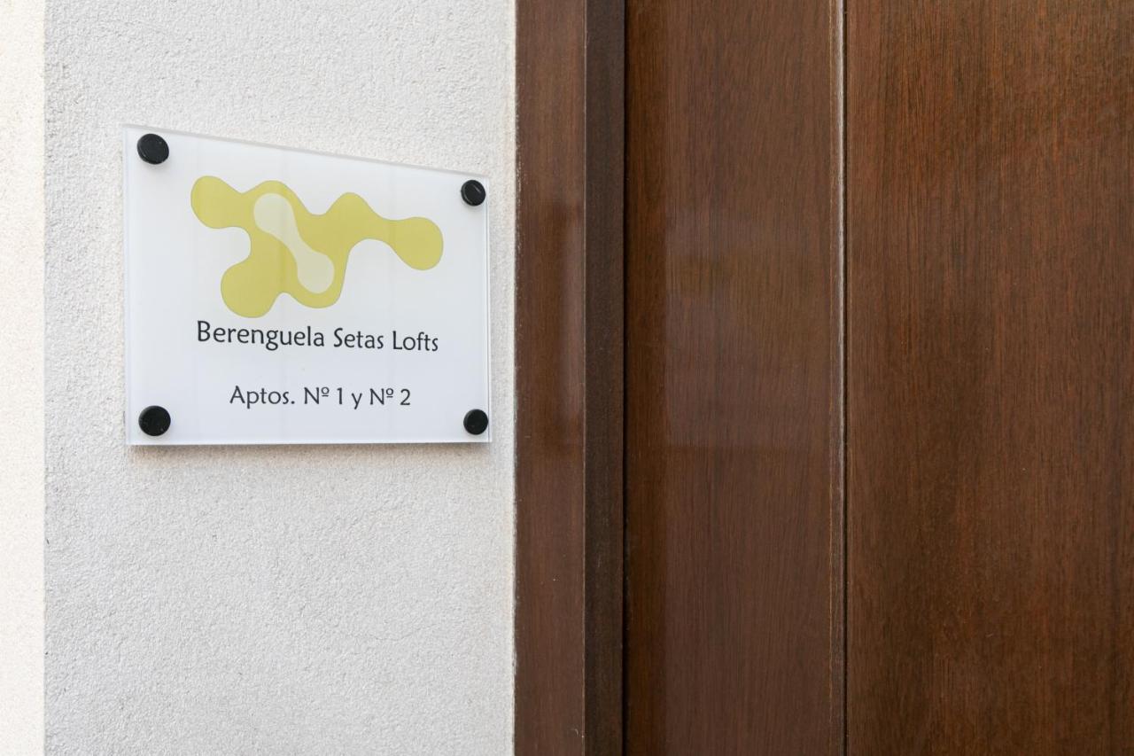 Apartment Berenguela Setas Lofts Seville