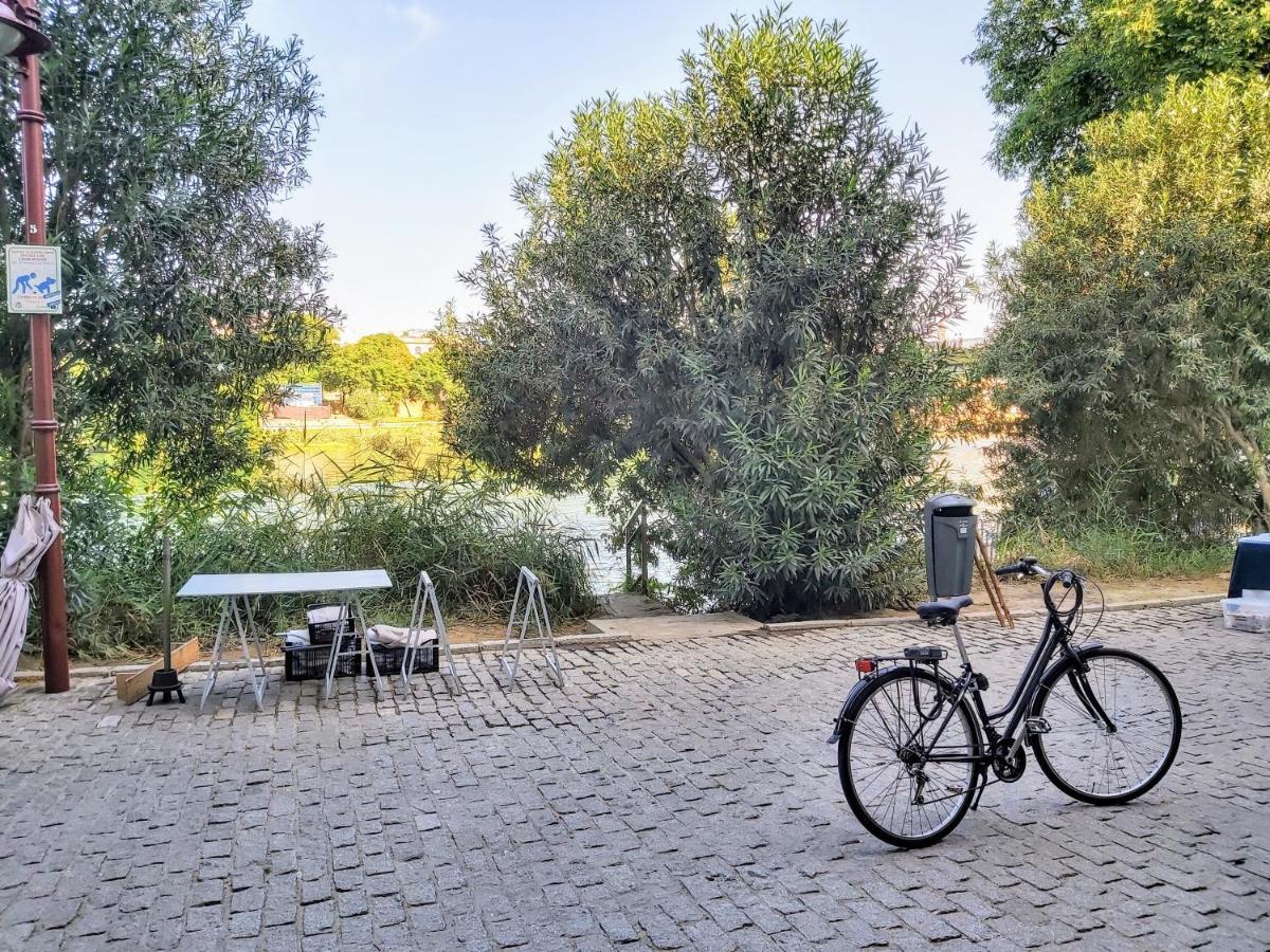 Apartamento Triana Procurador Con Terraza Privada