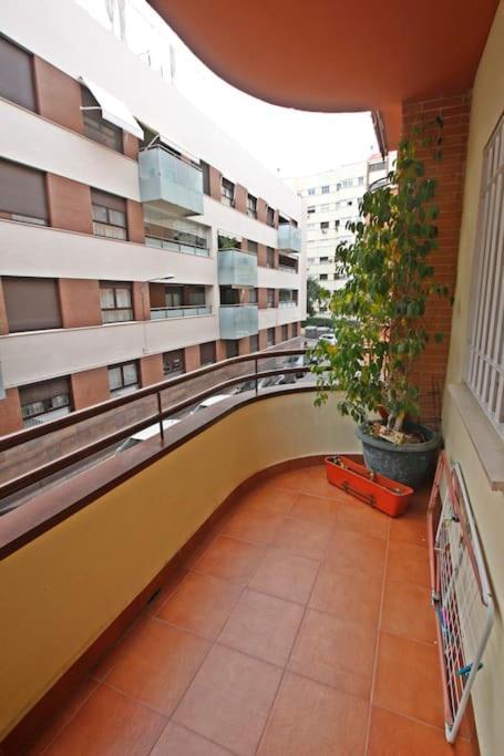 Apartamento Clasica: Amigos Y Familia. Parking Gratis! *