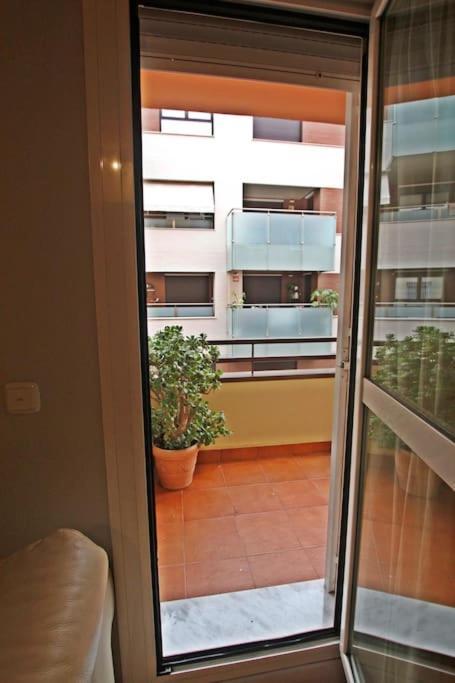 Apartamento Clasica: Amigos Y Familia. Parking Gratis!