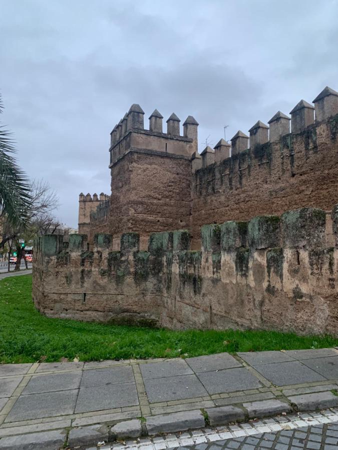 Apartamento Piso Muralla Macarena *