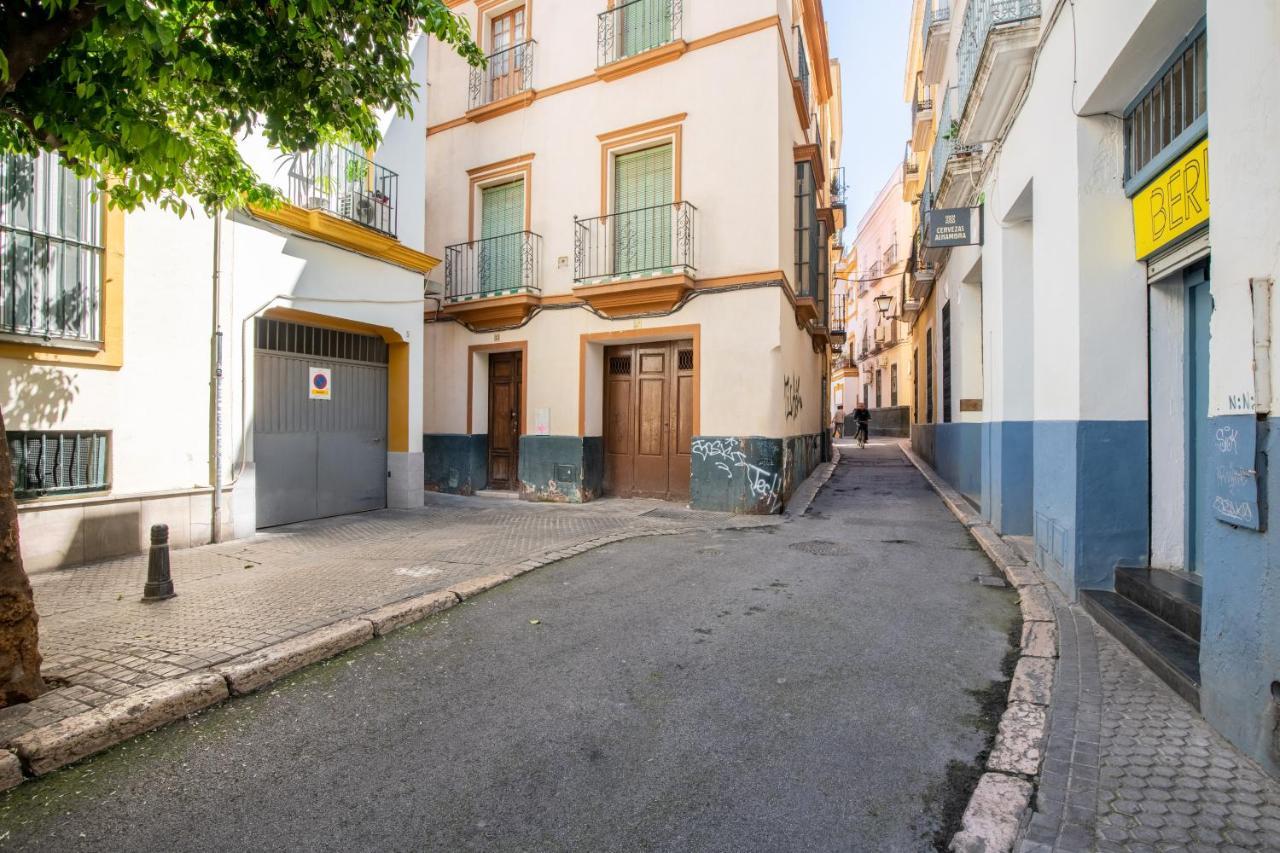 Bt Alfalfa Excelente Ubicacion Ideal Parejas Seville