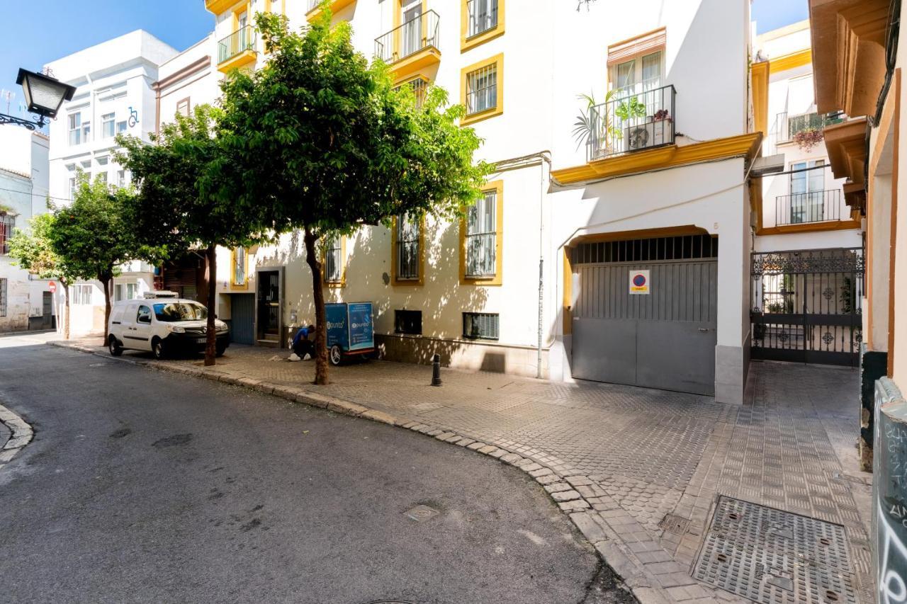 Bt Alfalfa Excelente Ubicacion Ideal Parejas Seville
