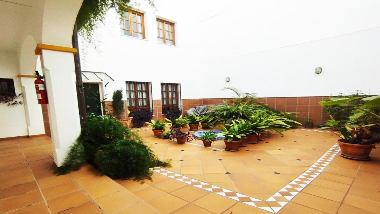 Anais Centro Seville