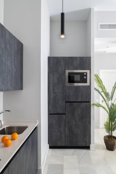 Apartamento San Buenaventura 11