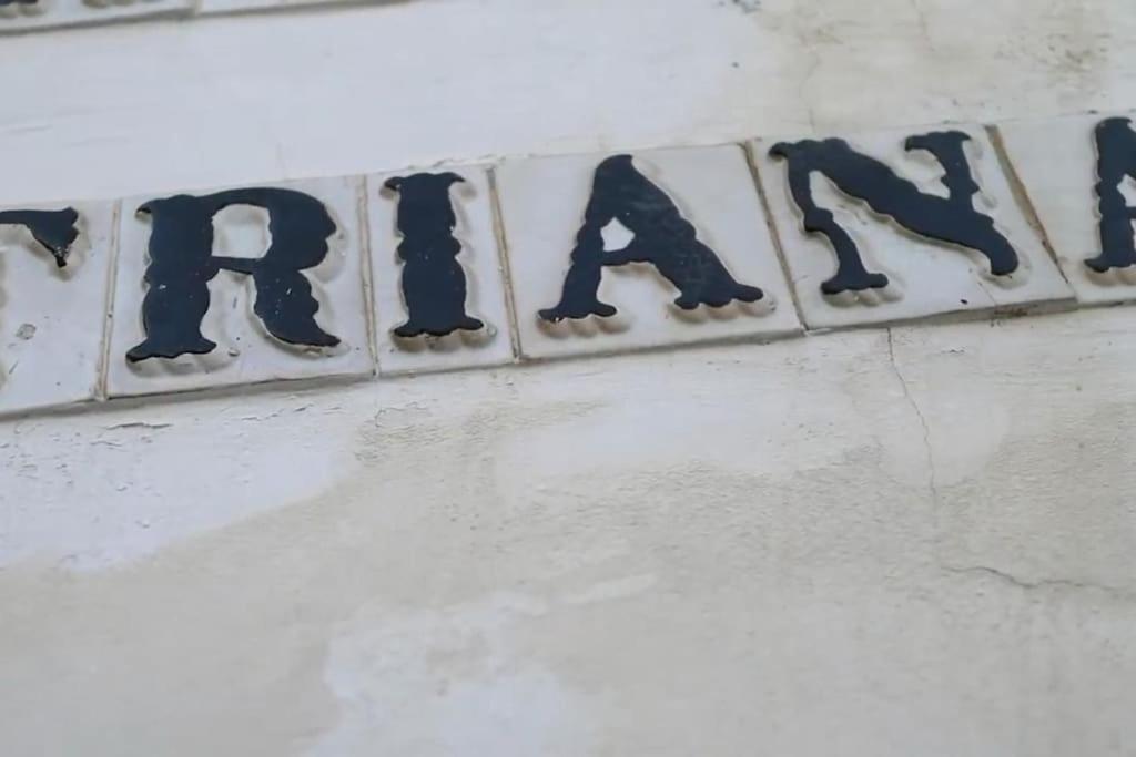 Apartamento Tipico Y Pintoresco Patio De Vecinos, Con Encanto