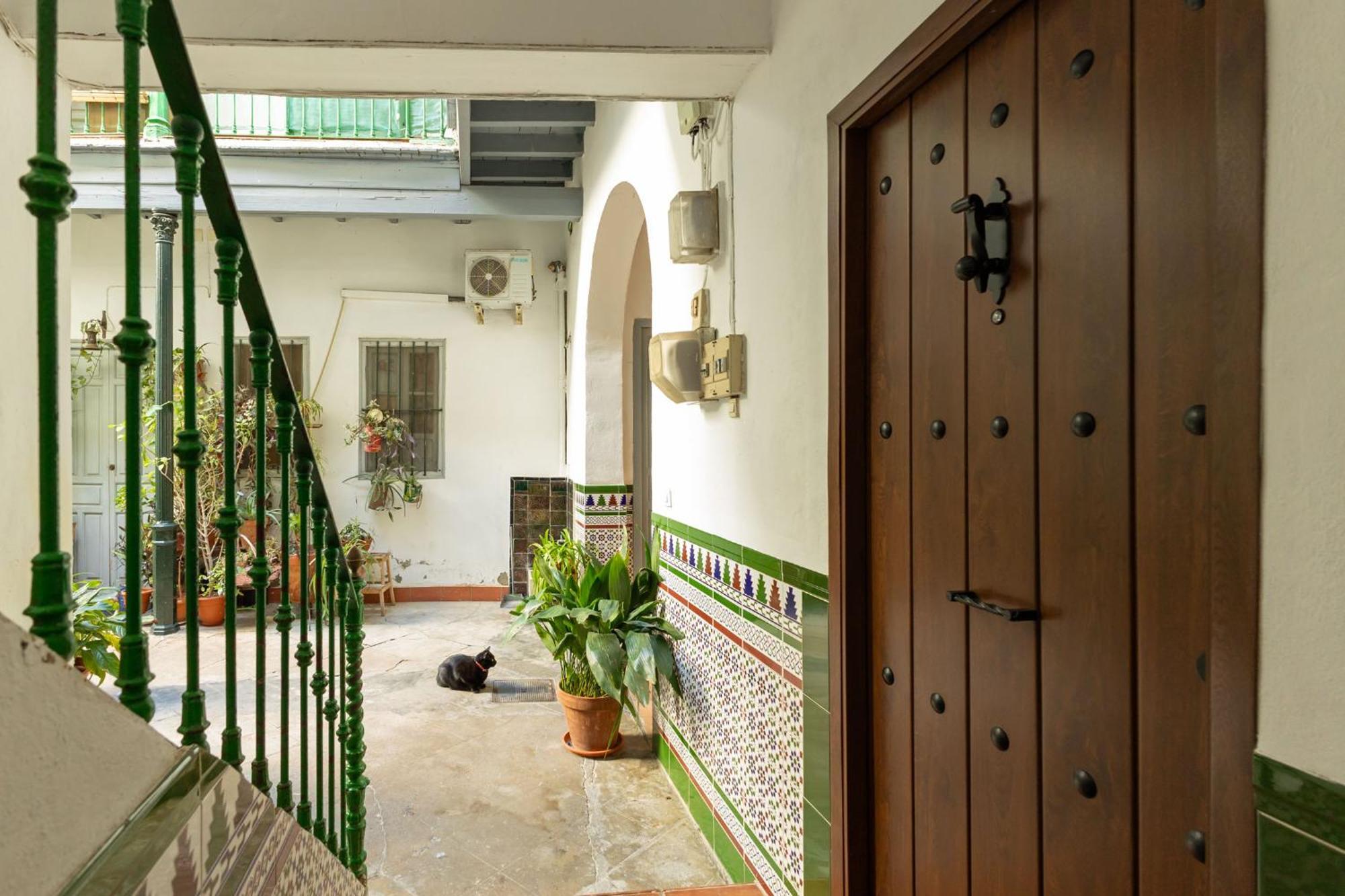 Modern Spacious Of Apartamento Sevilla