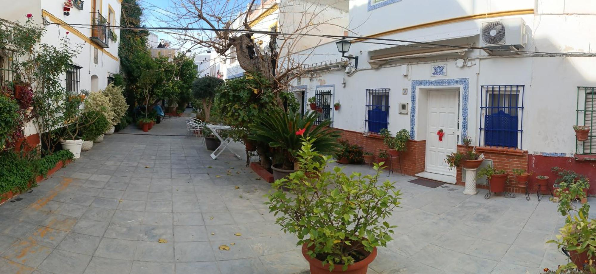 Apartamento Tipico Y Pintoresco Patio De Vecinos, Con Encanto