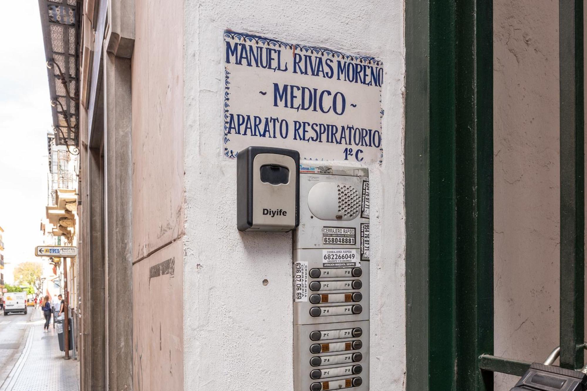 Centro, Alfonso Xii Sevilla