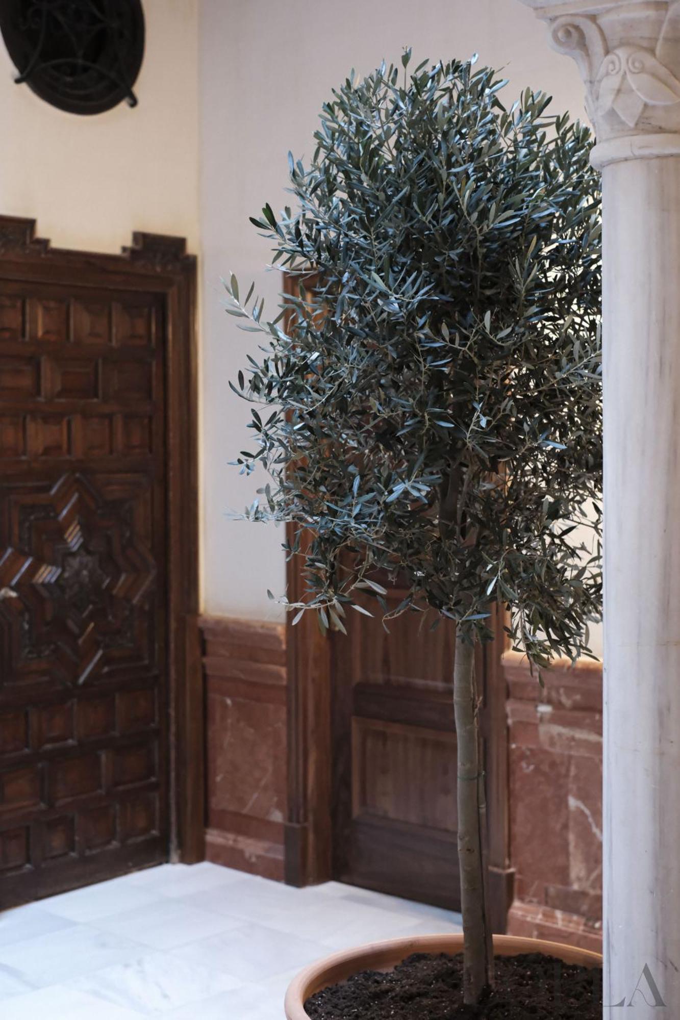 Fabulous Apartamento Para 4pax En El Centro De Sevilla