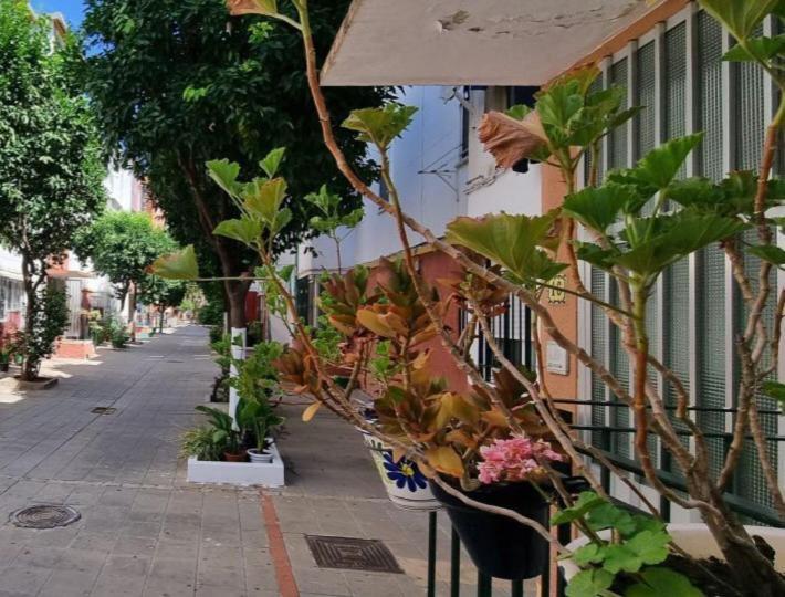 Apartamento Triana