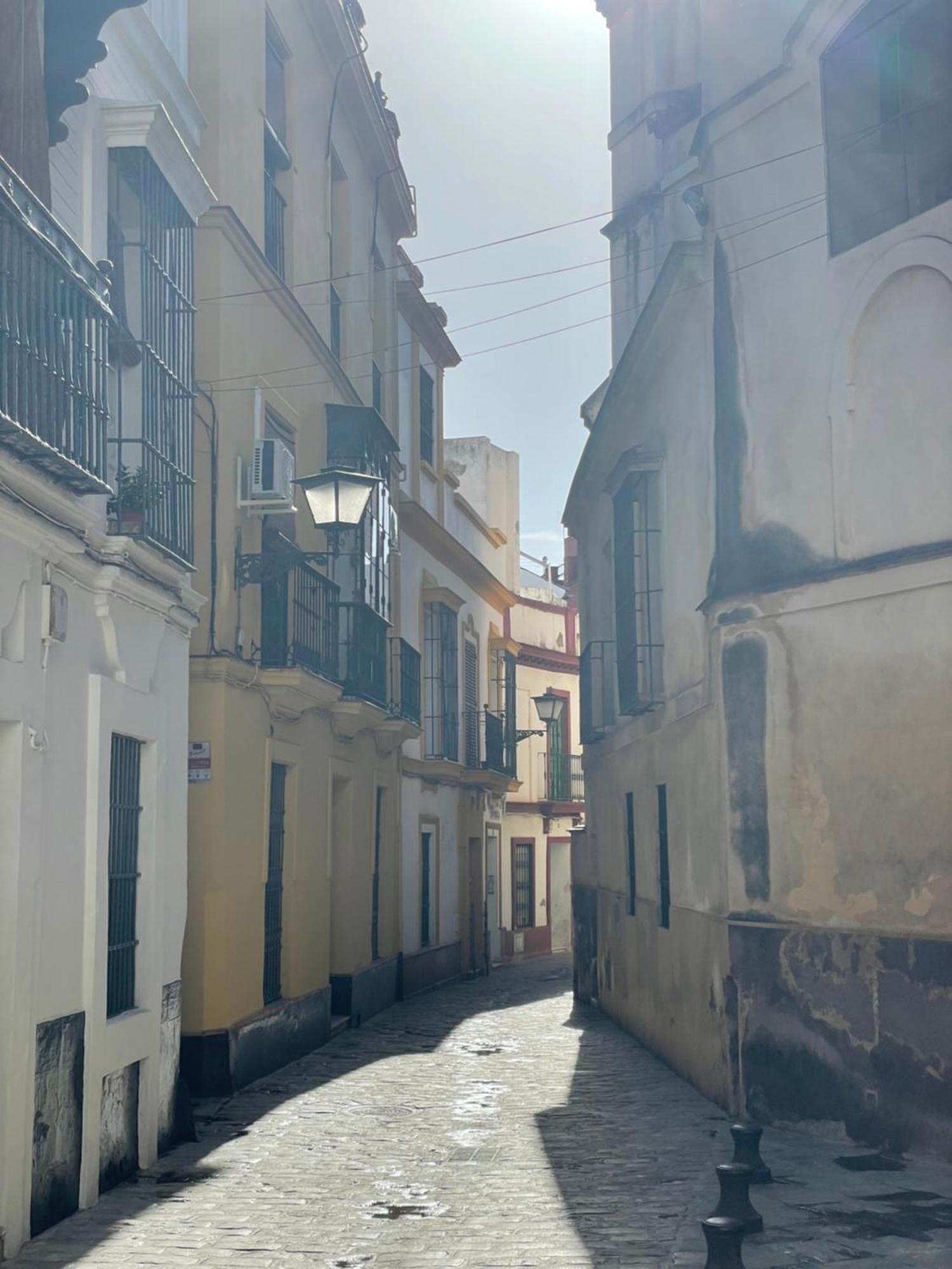Centro-casco Antiguo -vidrio 36 *