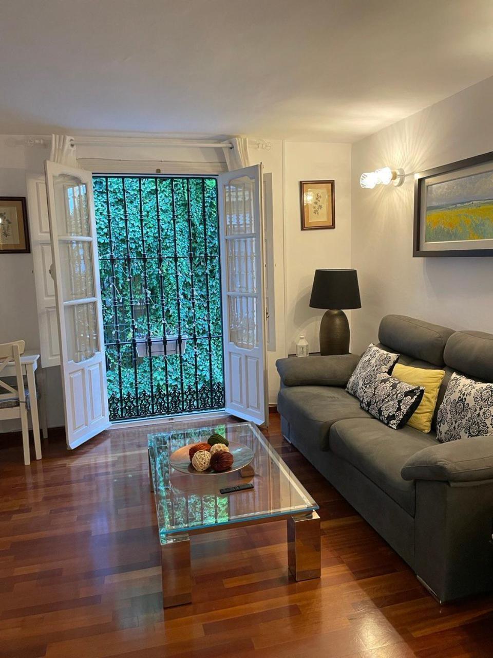 Apartamento Centro-casco Antiguo -vidrio 36 *