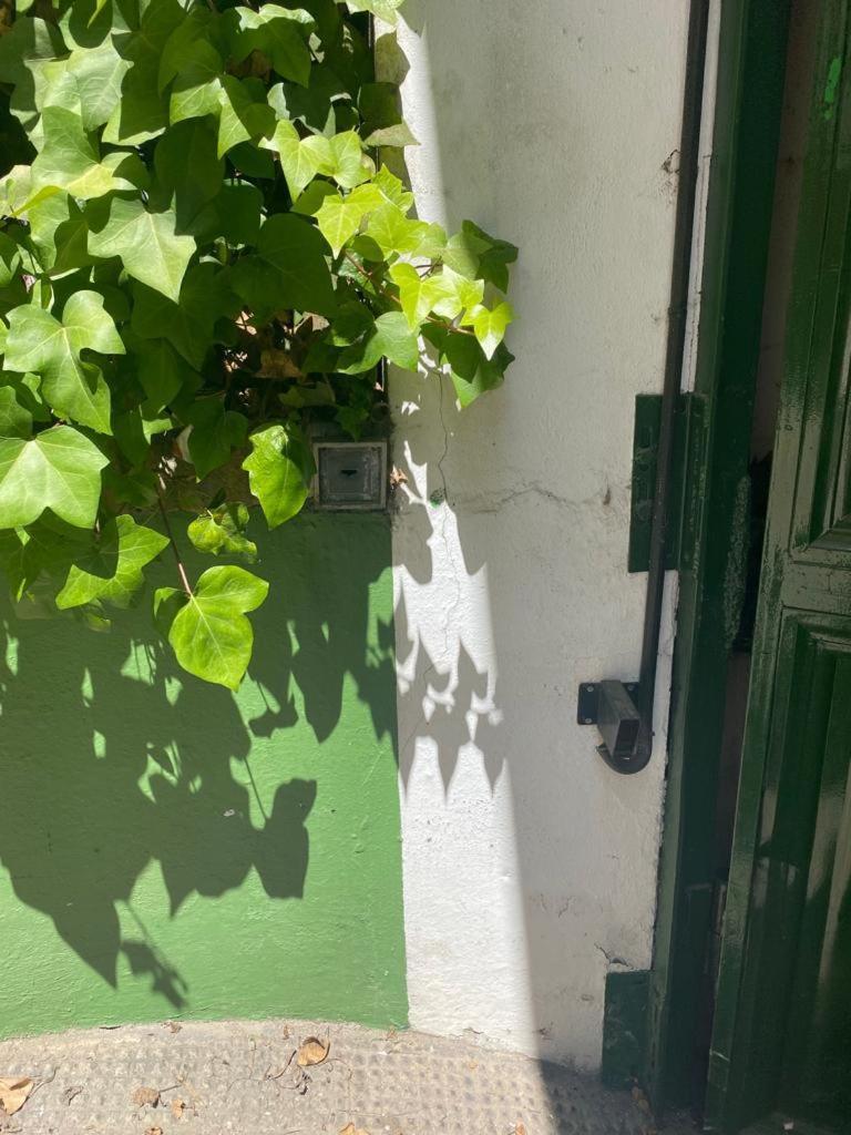 Rentalsevilla Moderno Y Comodo En Santa Cruz Con Parking *