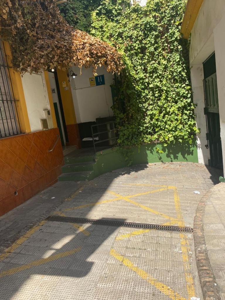 Rentalsevilla Moderno Y Comodo En Santa Cruz Con Parking *