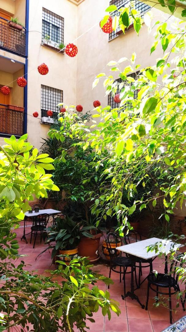 Apartamento Apartamentos Sevilla Sevilla