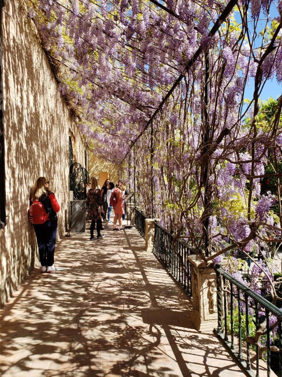 Apartamento Jardin De Santa Paula
