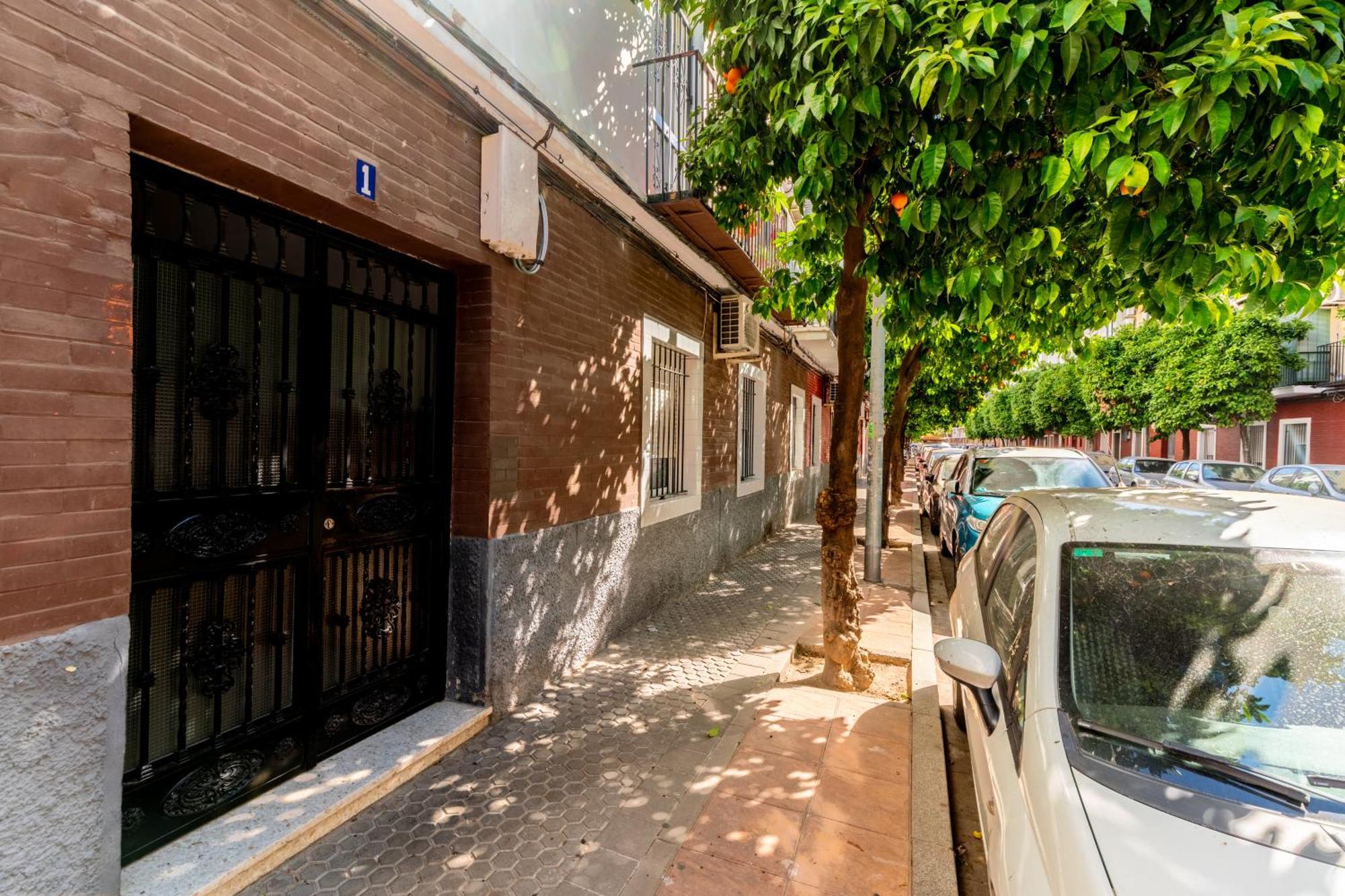 Apartment Confortable Apto. 3 Seville