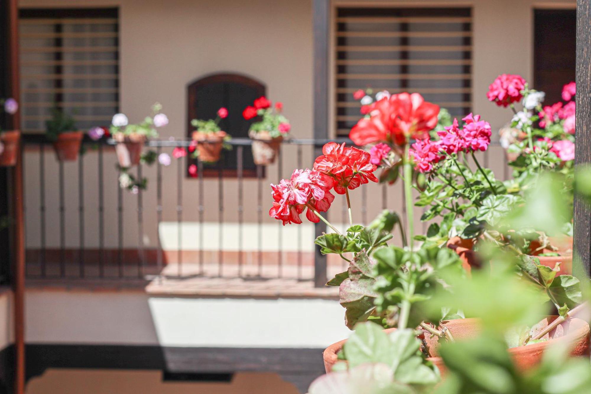 Charming In The Center - 10m Walk Isla Magica Apartamento *