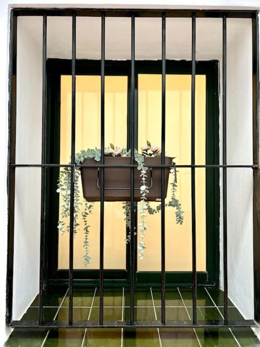 Apartment Auxiliadora Luxury