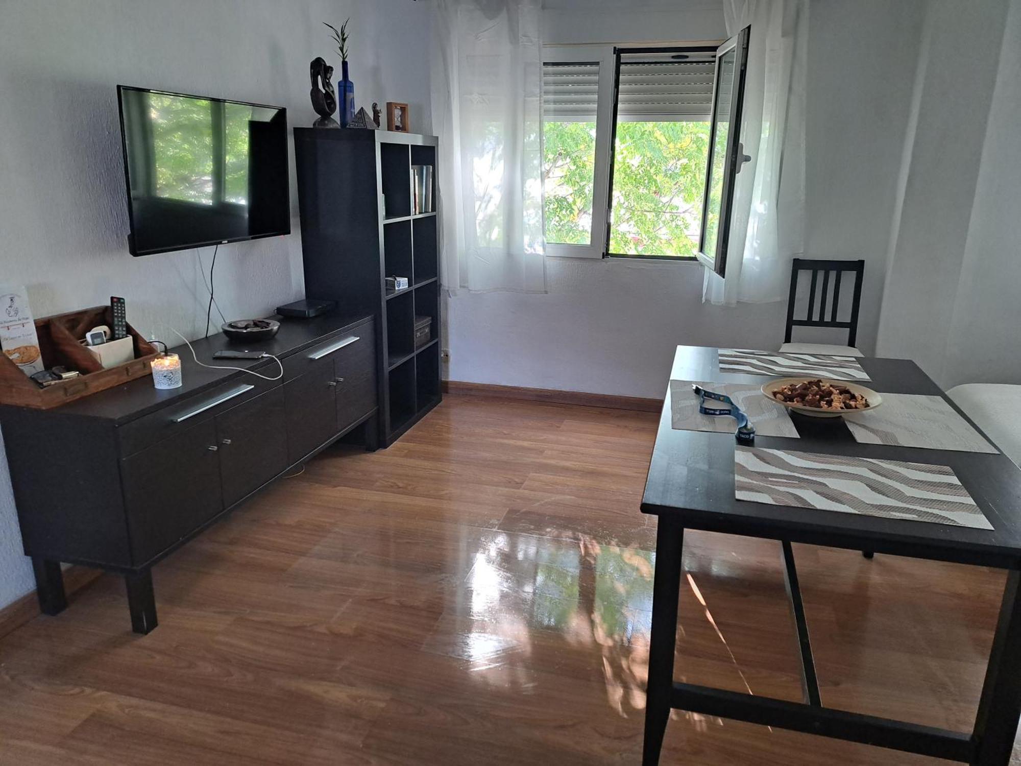 Apartment Ole Triana