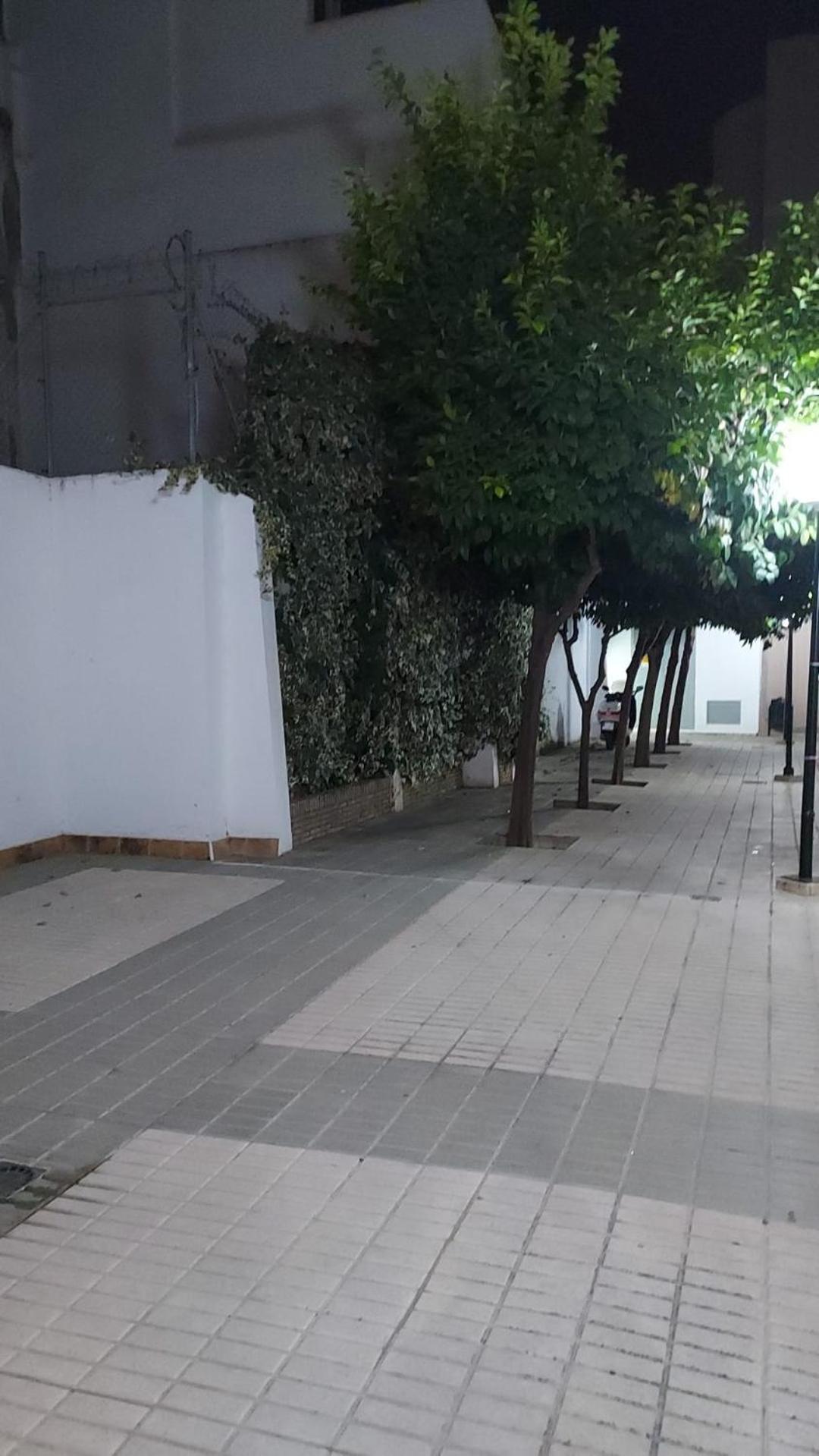 Alfonso Xii Center Sevilla