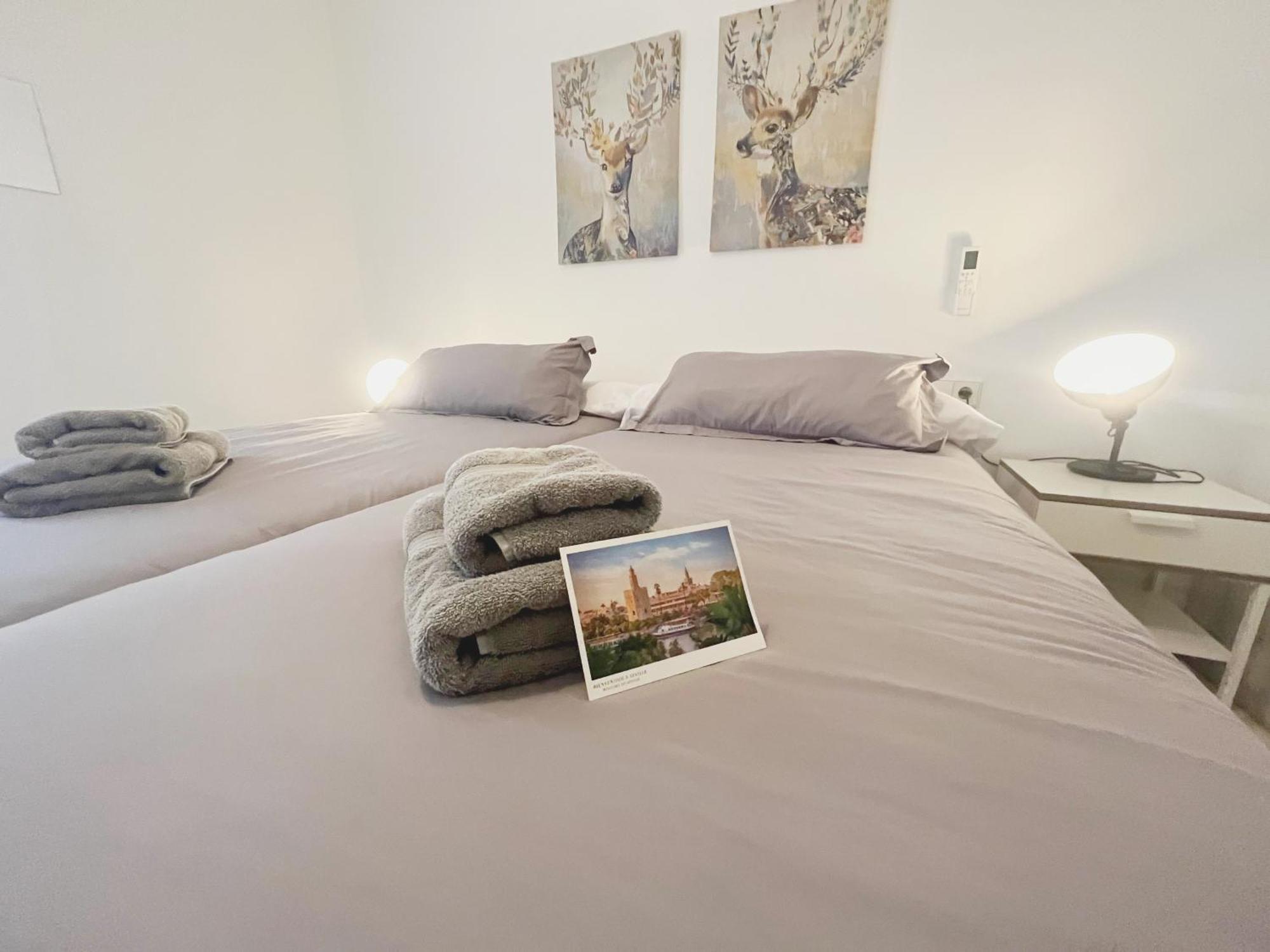 Center Confort 6 * Sevilla