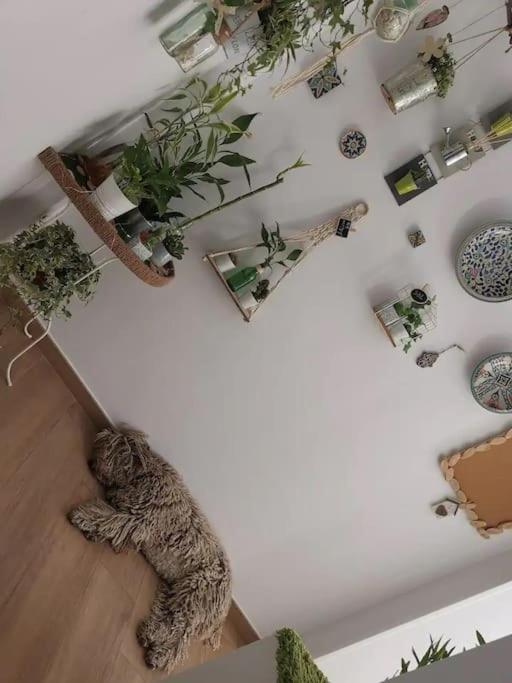 Apartamento Inocentes Sevilla