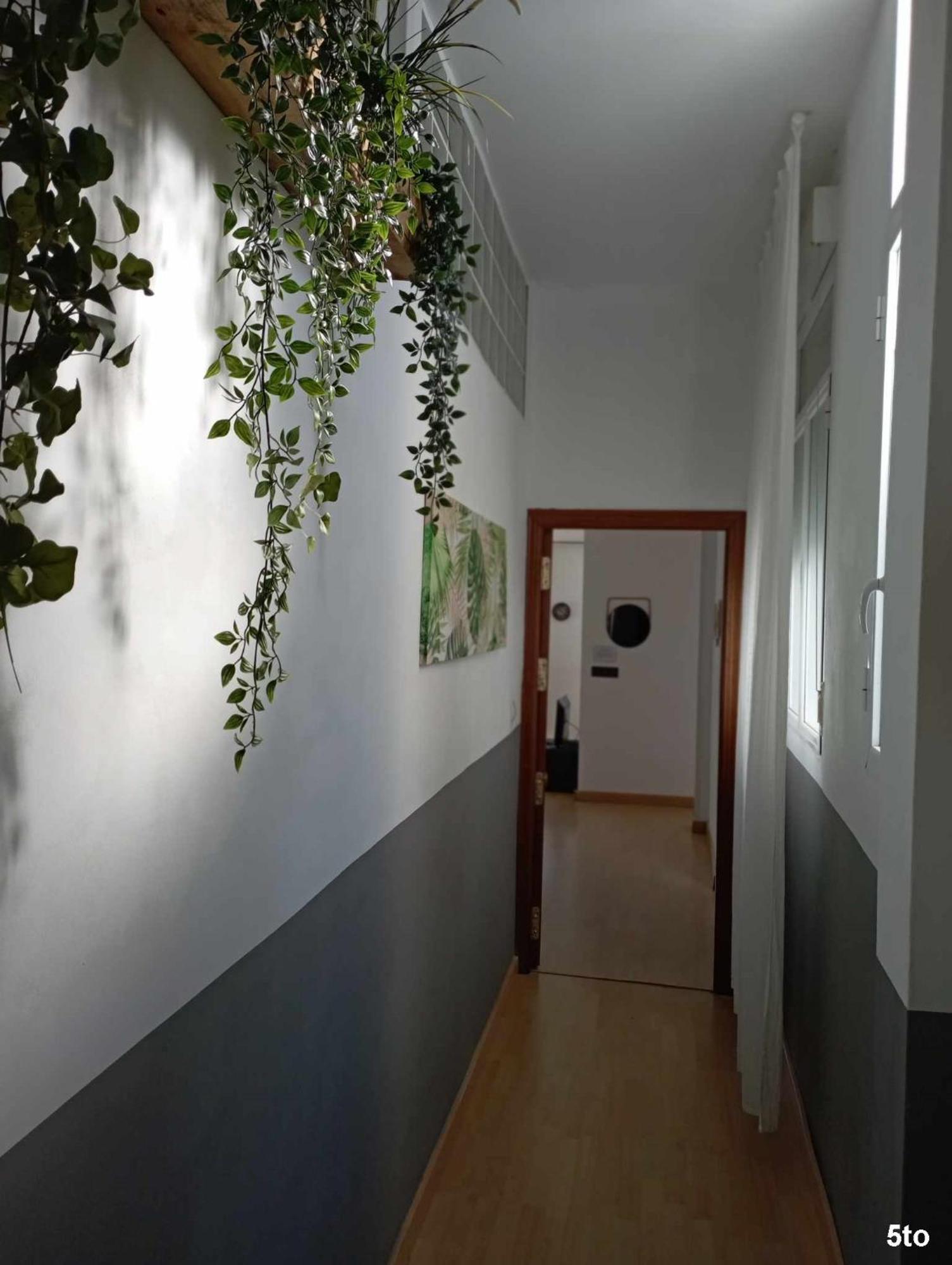 Siesta Andaluza Apartamento Sevilla