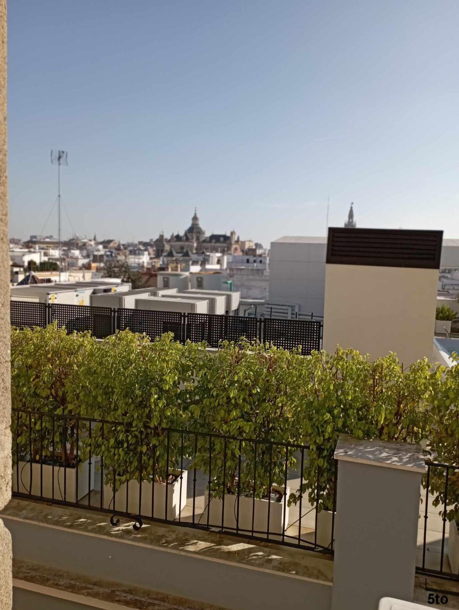 Siesta Andaluza Apartamento Sevilla