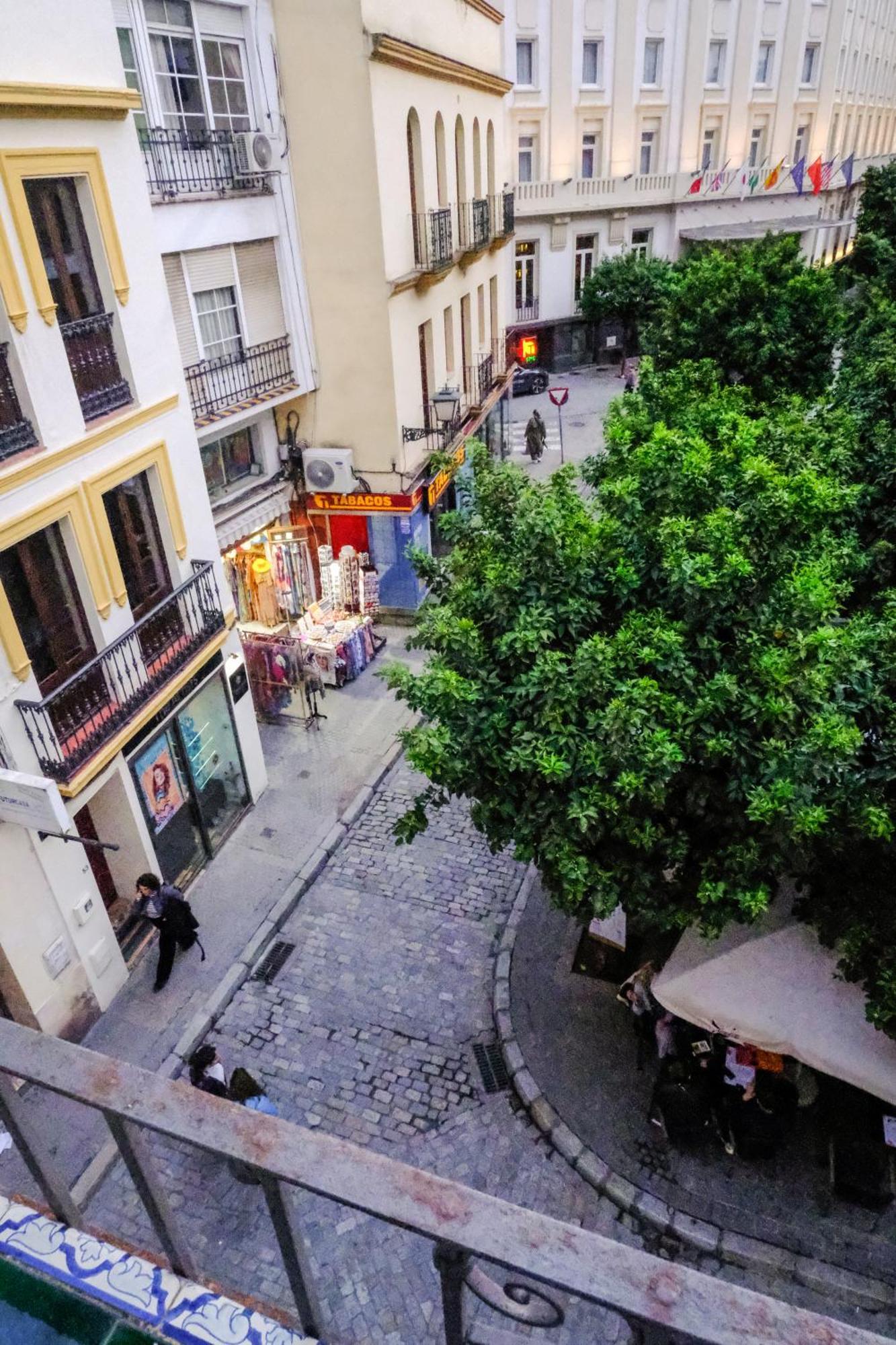 Apartamento San Roque *