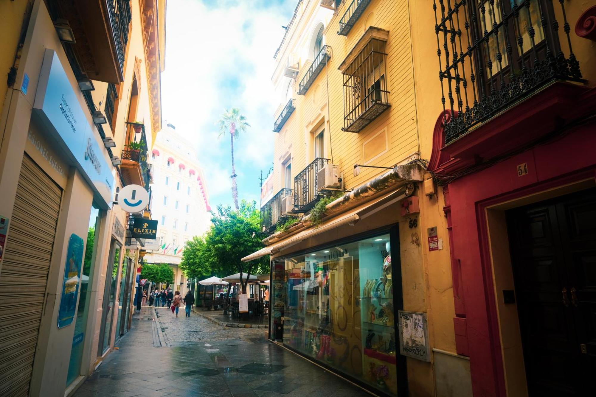 Apartamento San Roque *