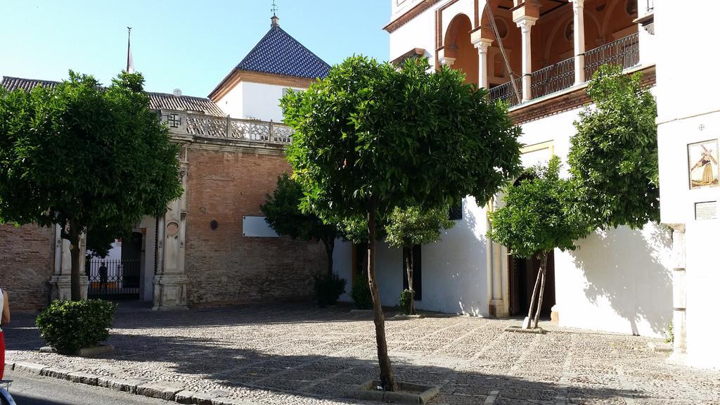 Apartamento San Esteban