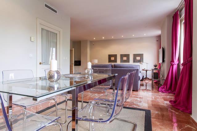 Apartamento Plaza Nueva