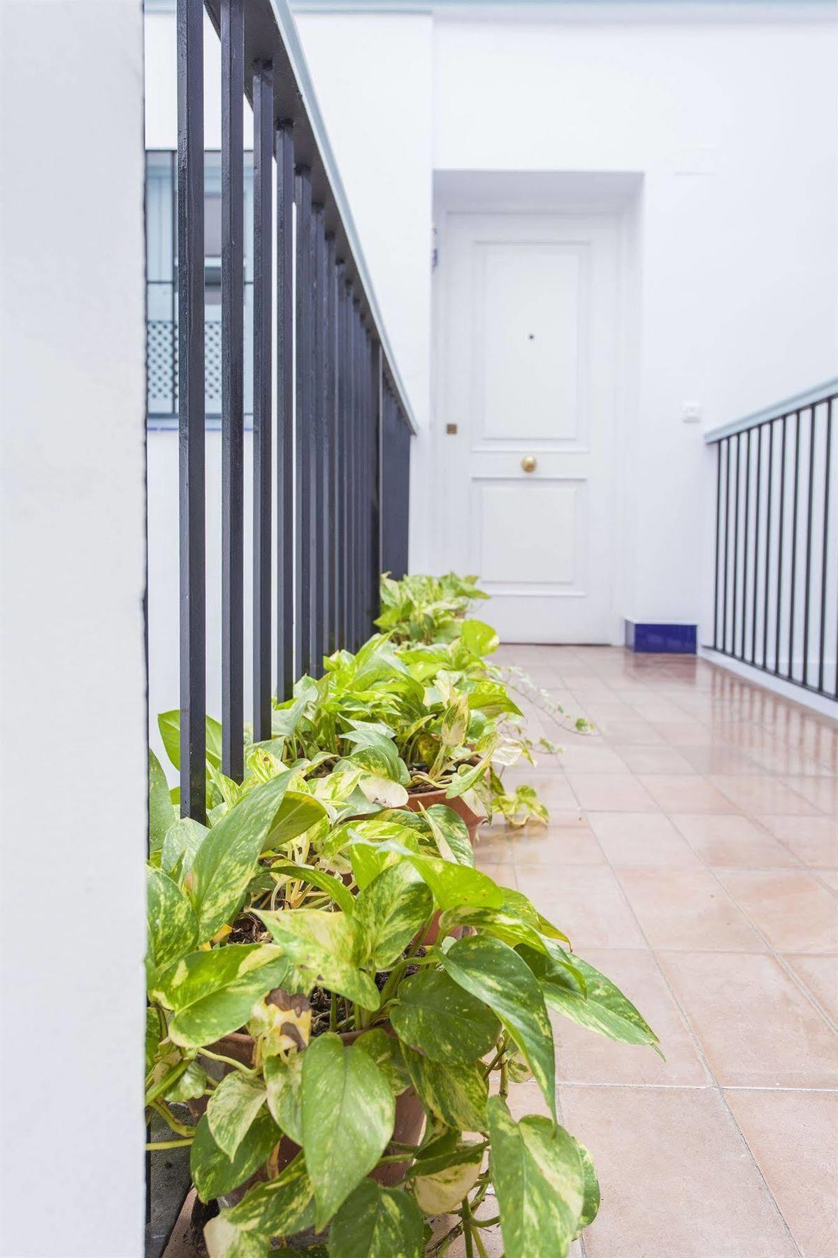 Santa Cruz Apartamento Sevilla