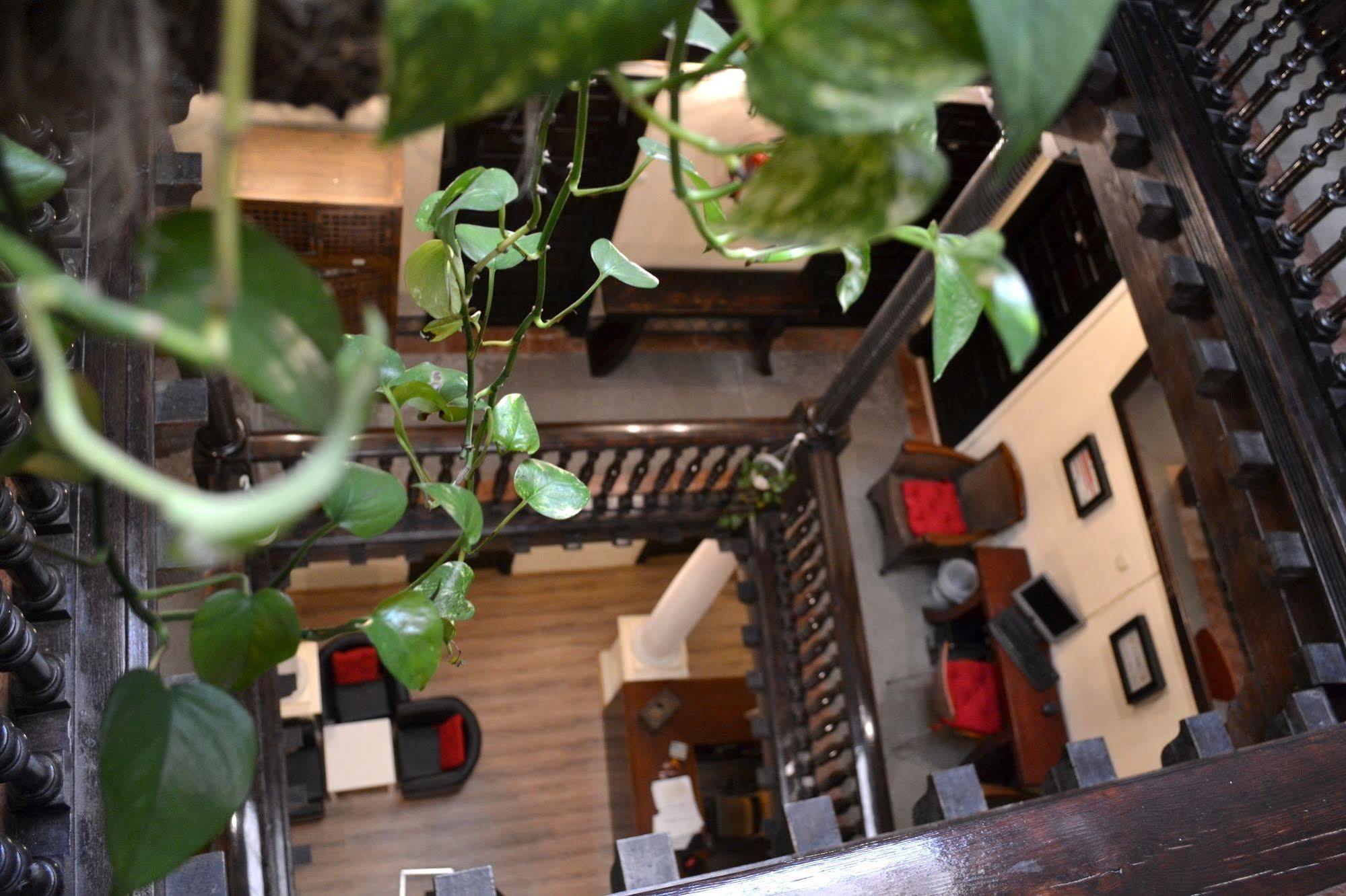 Bed and breakfast Nuevo Suizo 2*