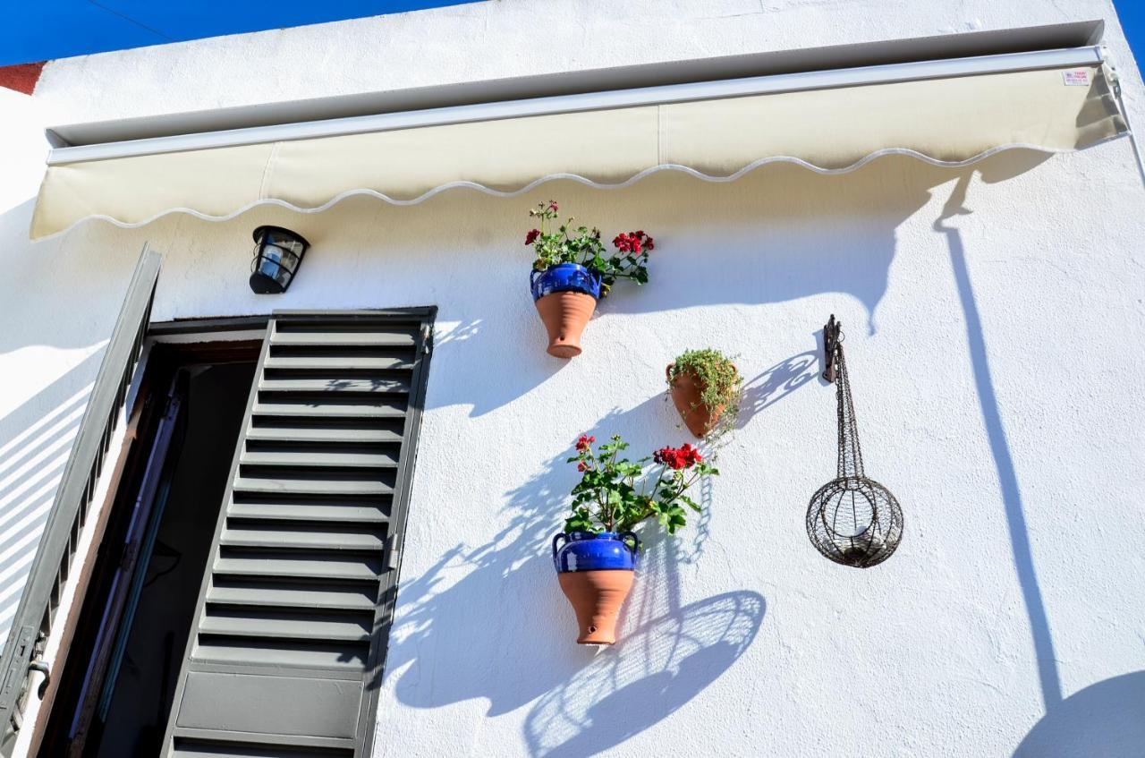 Apartamento Alohamundi Campana Sevilla