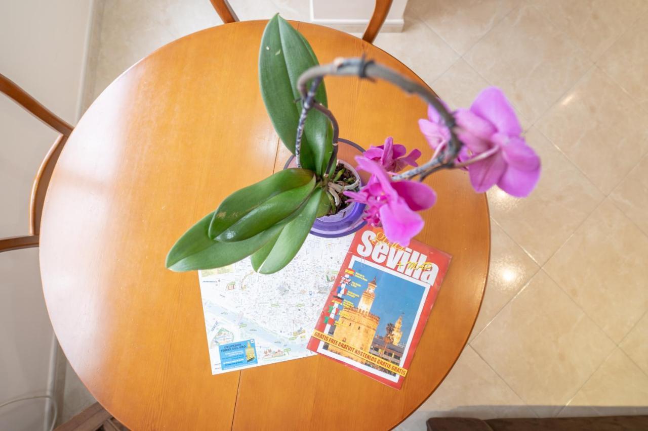 Larra Nervion Apartment *