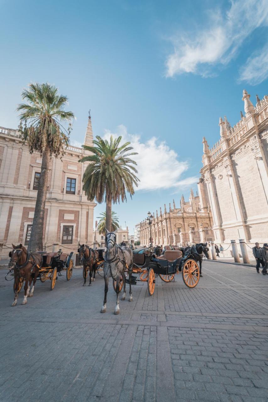 Larra Nervion * Seville