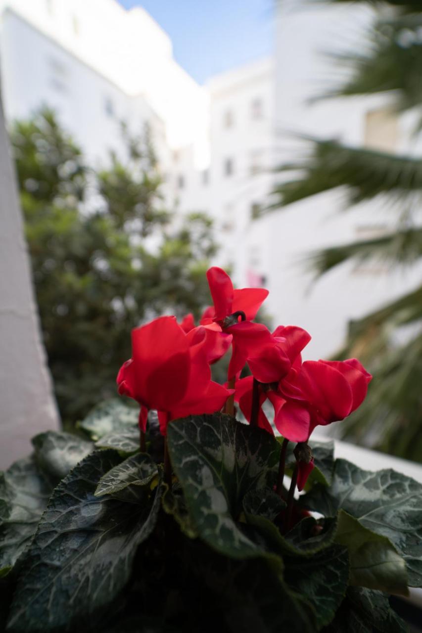 Larra Nervion Apartment *