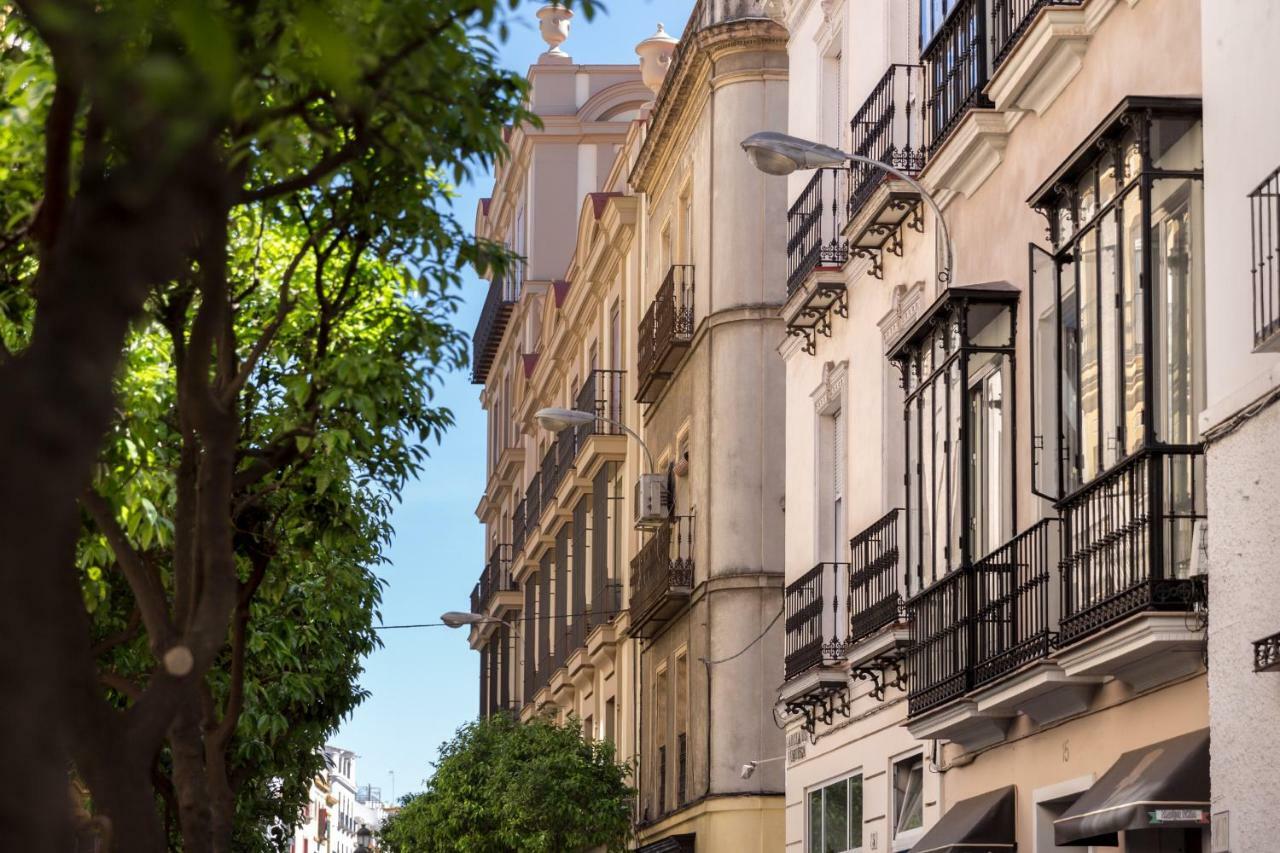 Apartamento Puerta Catedral Vinuesa15 Sevilla