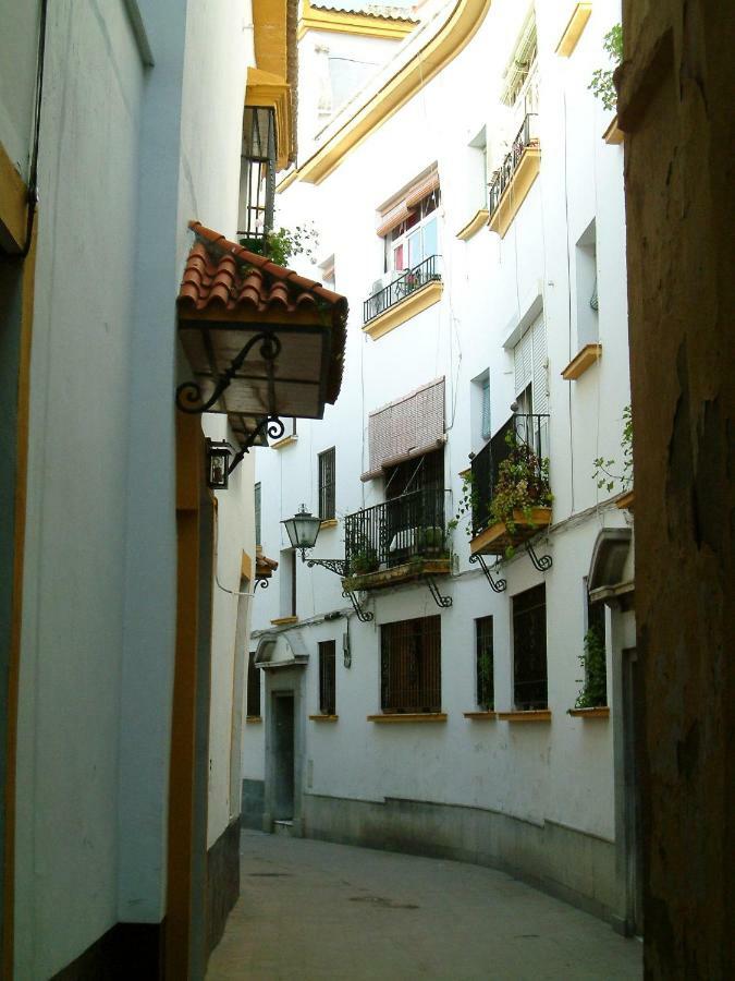Rentalsevilla Moderno Y Comodo En Santa Cruz Con Parking Apartamento *